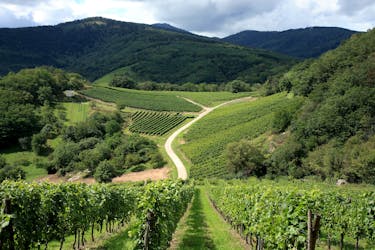 Gita privata di mezza giornata nei villaggi e nei vini dell’Alsazia da Strasburgo